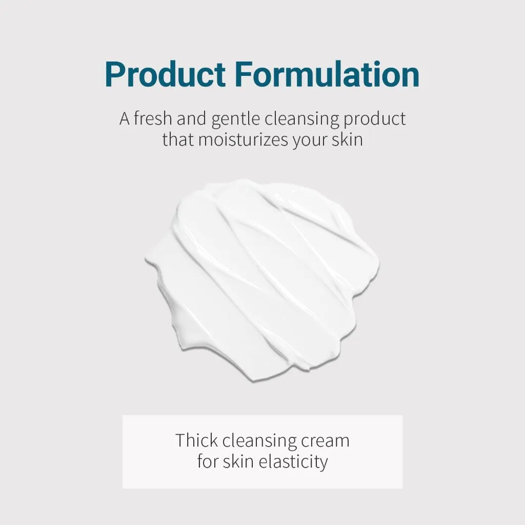 BE THE SKIN Cleansing Foam BHA  PORE ZERO