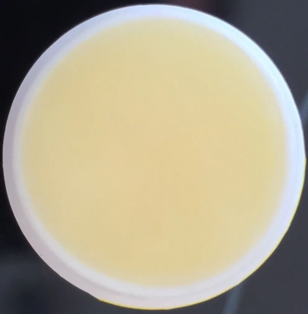 Candy Corn Flavored Lip Balm Kissing Stick