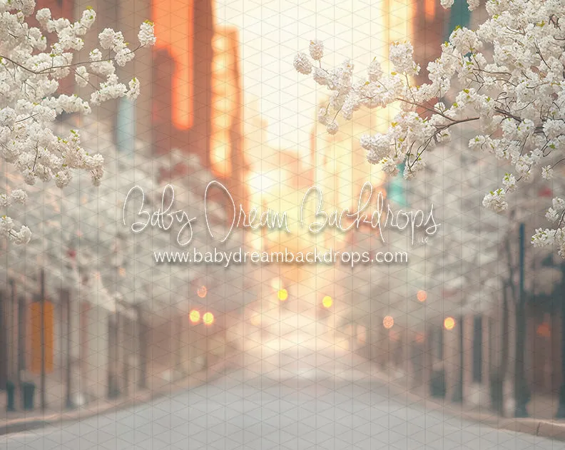 City Street Spring (CC)