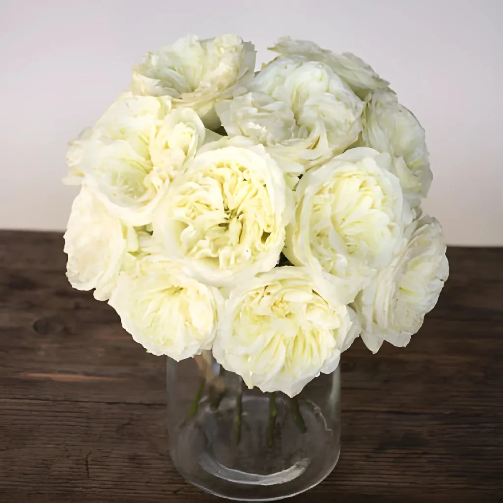 Creamy Ivory Peony Rose