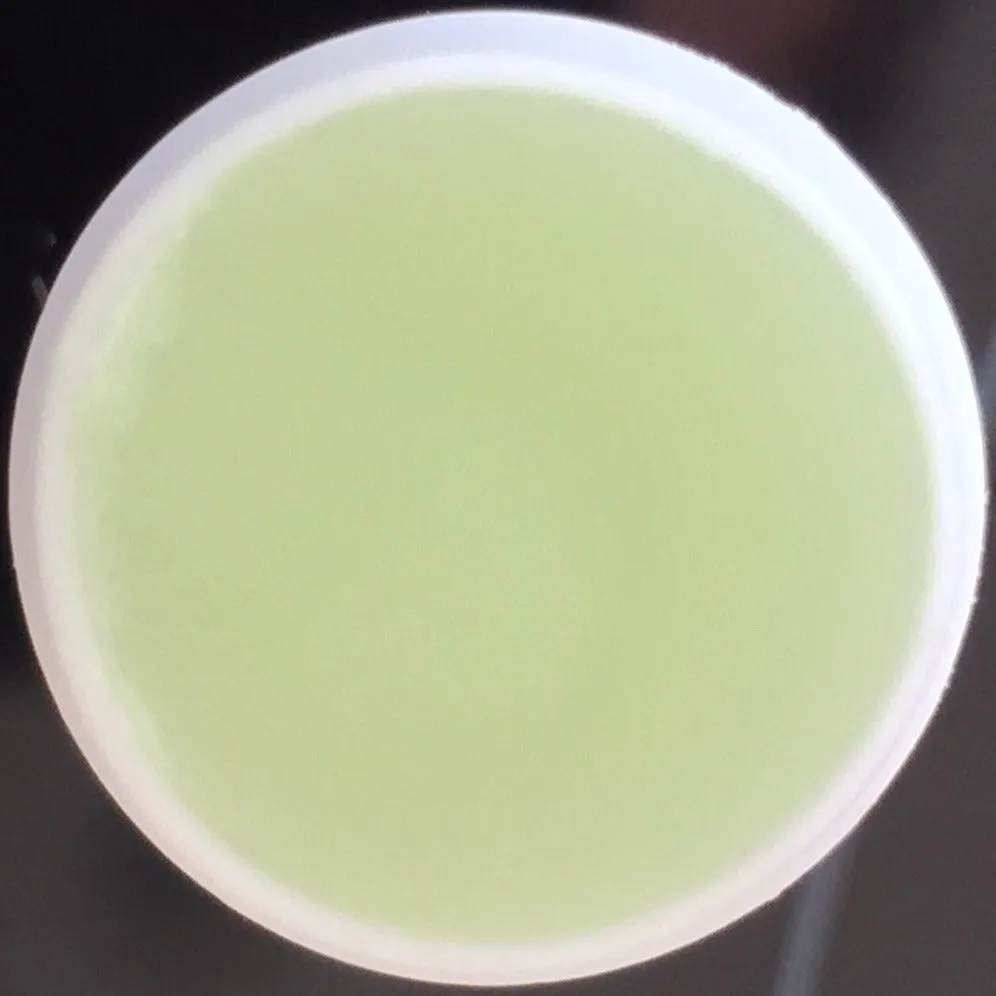 Green Apple Flavored Lip Balm Kissing Stick