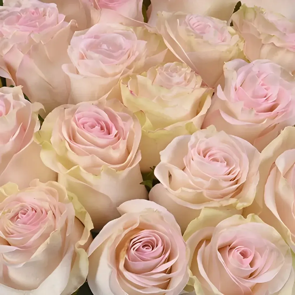 Marzipan Candy Rose