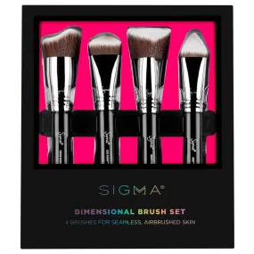 Sigma Dimensional Brush Set